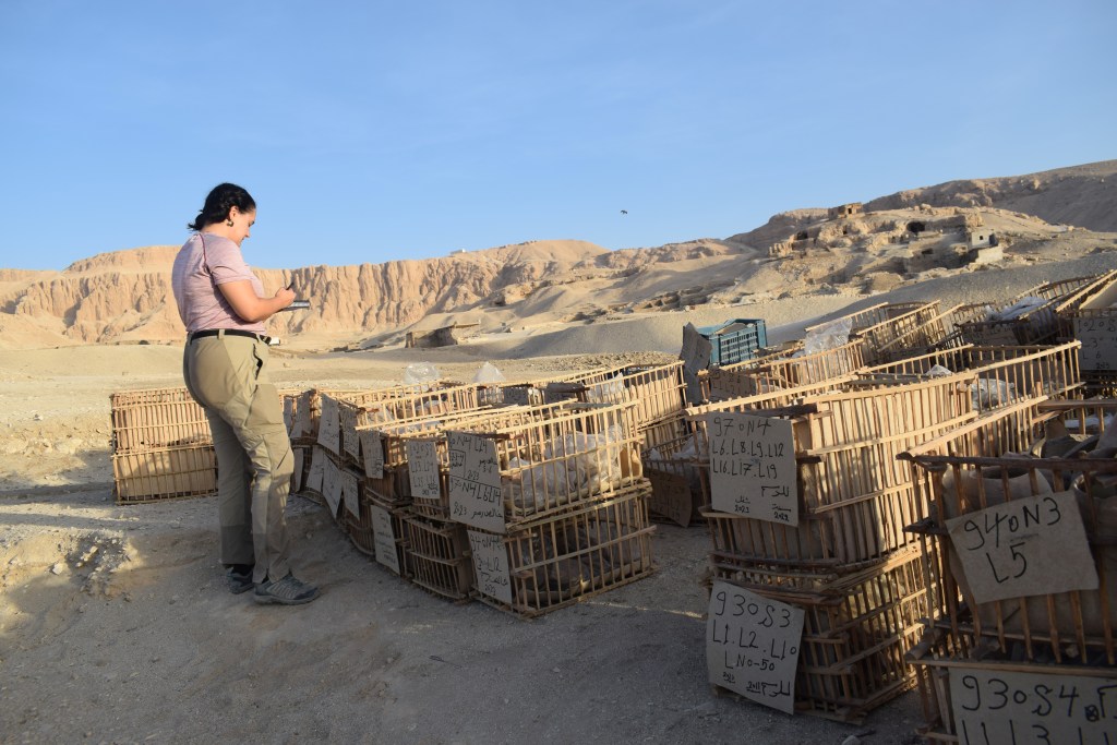 Campaña 2025_Tutmosis III_Inicio 18 Campaña_10