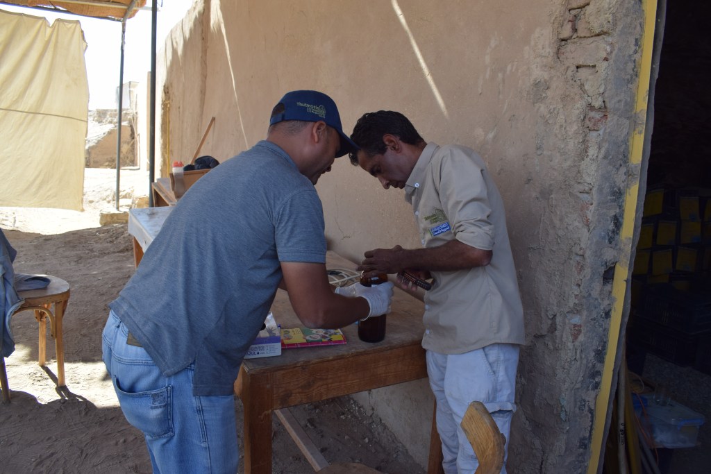 Mohamed Youssef_Tutmosis III 2025_04