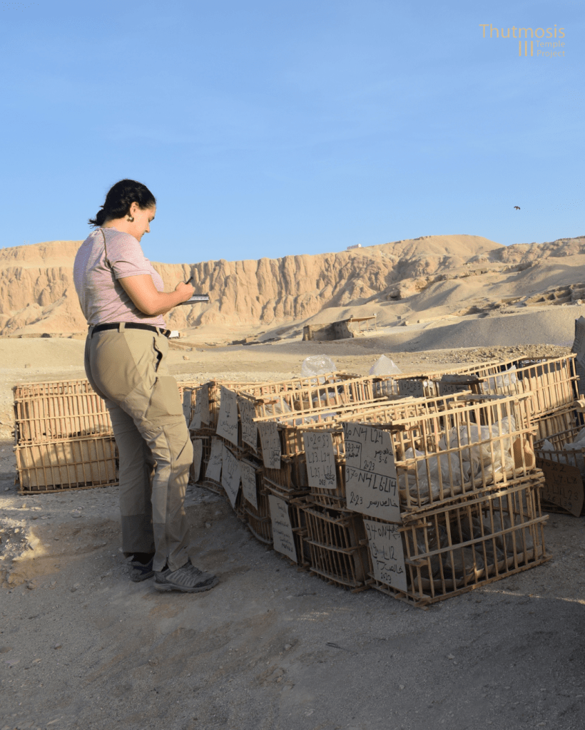 Sara Navaz_Tutmosis III_2025_15